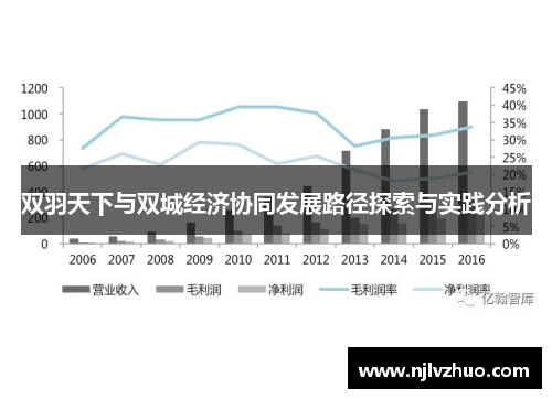 双羽天下与双城经济协同发展路径探索与实践分析